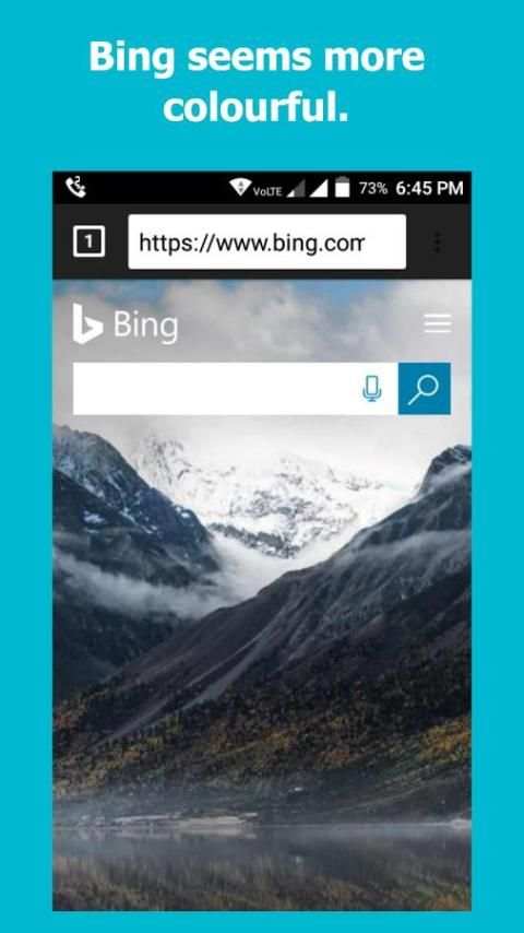 Next browser screenshot 4
