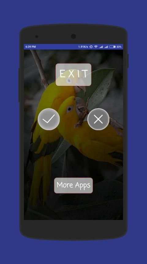 Birds Wallpapers скриншот 4