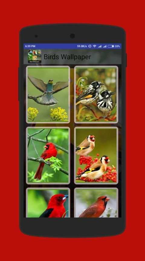 Birds Wallpapers скриншот 2