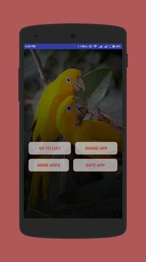 Birds Wallpapers скриншот 1