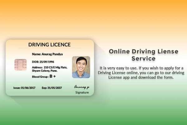 Driving Licence Online Apply скриншот 1