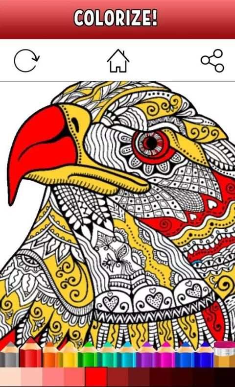 Magic Coloring Book screenshot 12