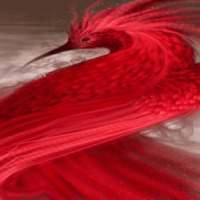 Red Bird Live Wallpaper logo