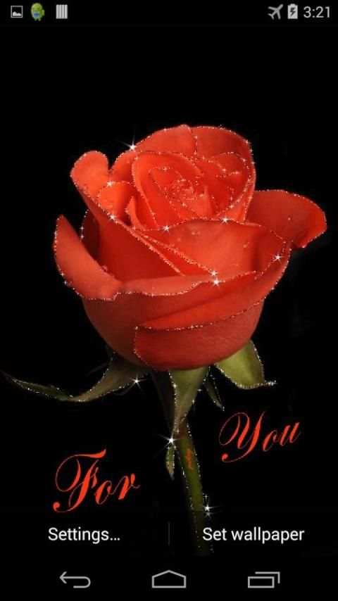 Red Rose Live Wallpaper screenshot 1