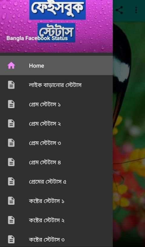 Bangla Facebook Status বাংলা স্ট্যাটাস 5 تصوير الشاشة