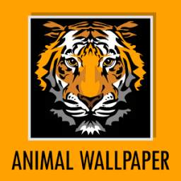 Animal wallpapers