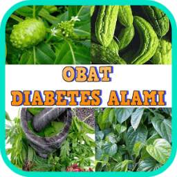 Obat Diabetes Alami Tradisional