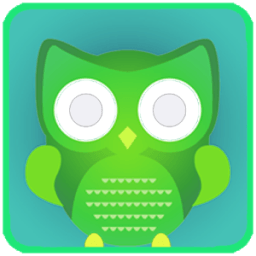 New duolingo français Tipo2018 icon