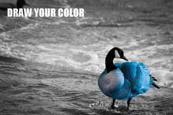 Color Splash Camera स्क्रीनशॉट 3