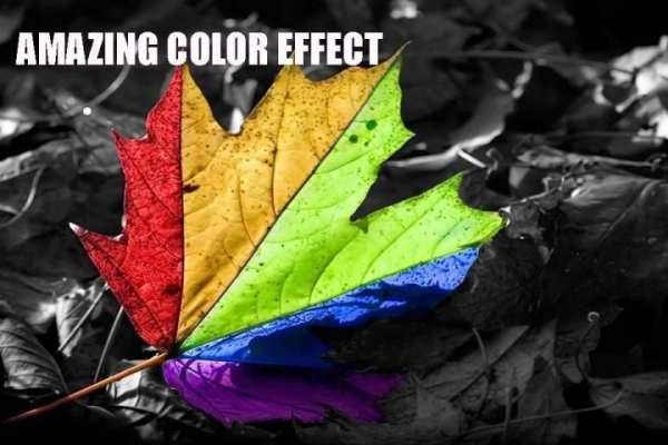 Color Splash Camera скриншот 4