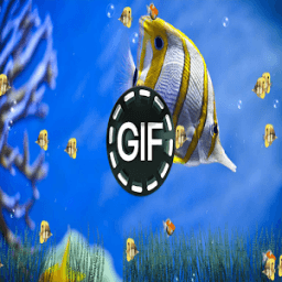 Wallpapers Animated Gif أيقونة