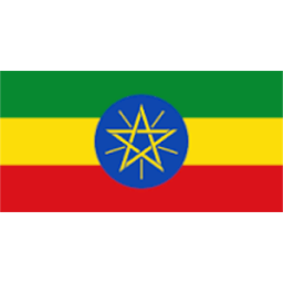 Ethiopian news icon