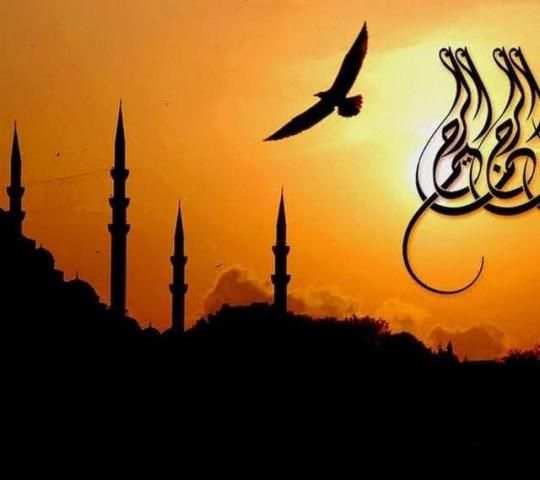 Basmala Wallpapers скриншот 5