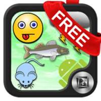 Pendants TSF Shell Animated