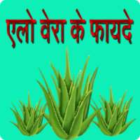 Benefits Of AloeVera / एलोवेरा के फायदे