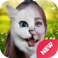 Animal Face Selfie Editor & Stickers εїз