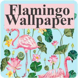 Flamingo Wallpaper иконка