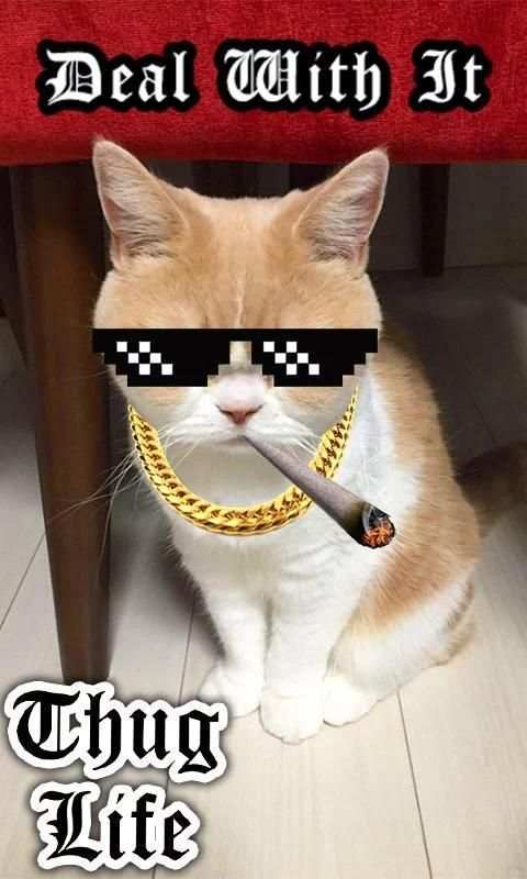 Thug Life Style скриншот 6