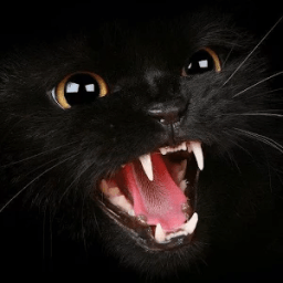 Cat Puzzles आइकन