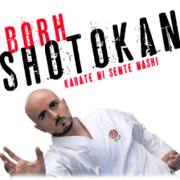 Shotokan Karate-Do icon