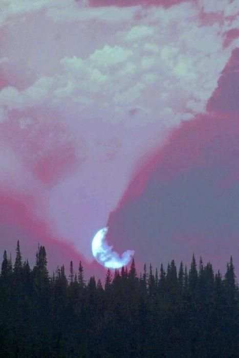 Wallpaper Tumblr screenshot 1