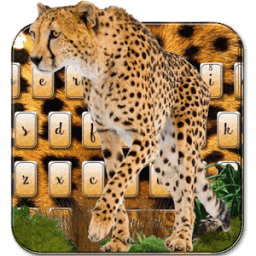 Тема клавиатуры гепарда иконка