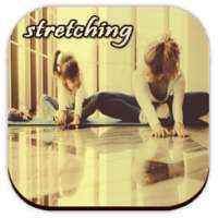 Stretching Exercise Guide