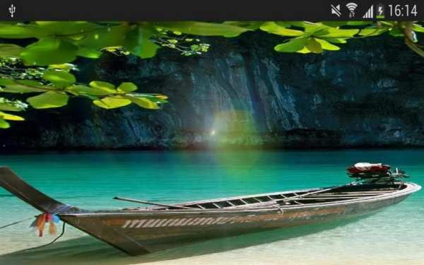 Sunshine Nature Leaf Wallpaper 1 تصوير الشاشة