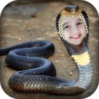 Snake Photo Frame on 9Apps