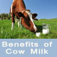 Benefits of Cow Milk - गाय दूध पीने के गुण