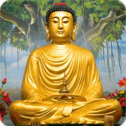 Hình nền Phật 1.0