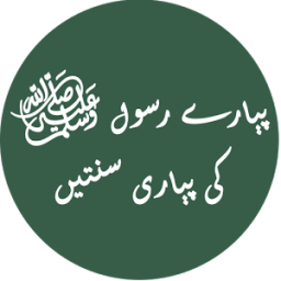 Pyare Rasool ki Pyari Sunatain иконка