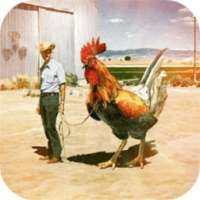 Photoshop wallpapers