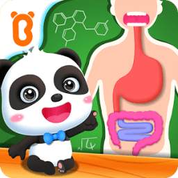 My Amazing Body - Educational Game For Kids