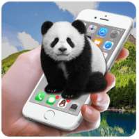 Panda Screen Prank
