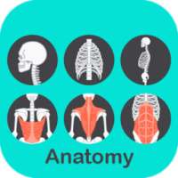 A to Z Anatomy 3D on 9Apps