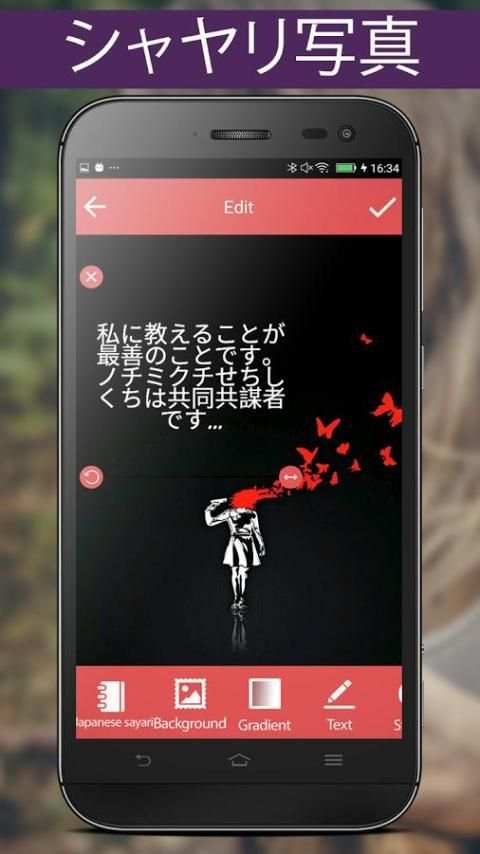 Write Japanese Poetry on Photo скриншот 4