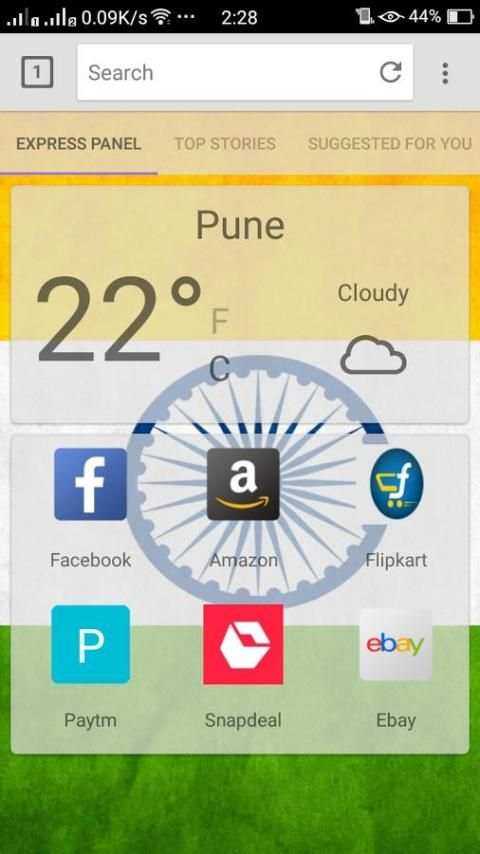 DESI BROWSER screenshot 6
