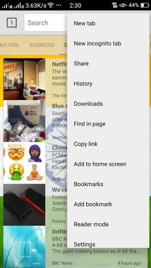 DESI BROWSER screenshot 3