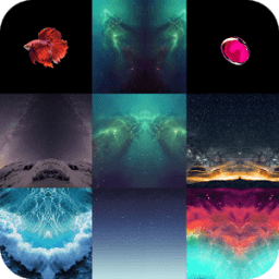 ikon Wallpaper For iPhone 8 / 7