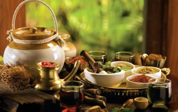 Ayurvedic Upchar скриншот 1