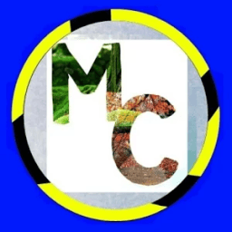 Magic Coin иконка