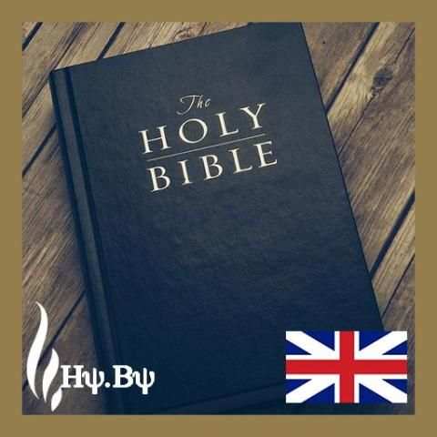 Holy Bible English Version скриншот 1