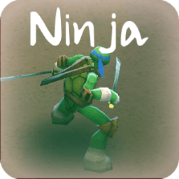 ikon Guide NINJA TURTLES