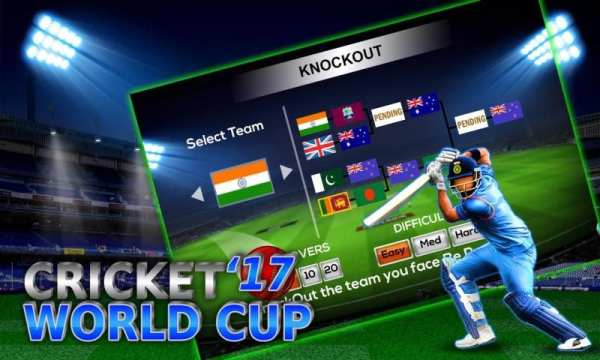 Cricket World Cup Game screenshot 3