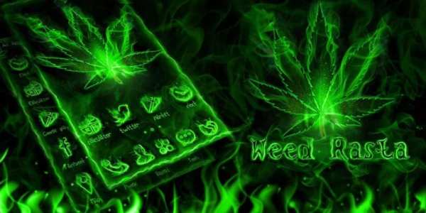 Weed Rasta GO Launcher Theme screenshot 1