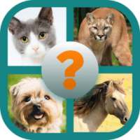 Animals Quiz