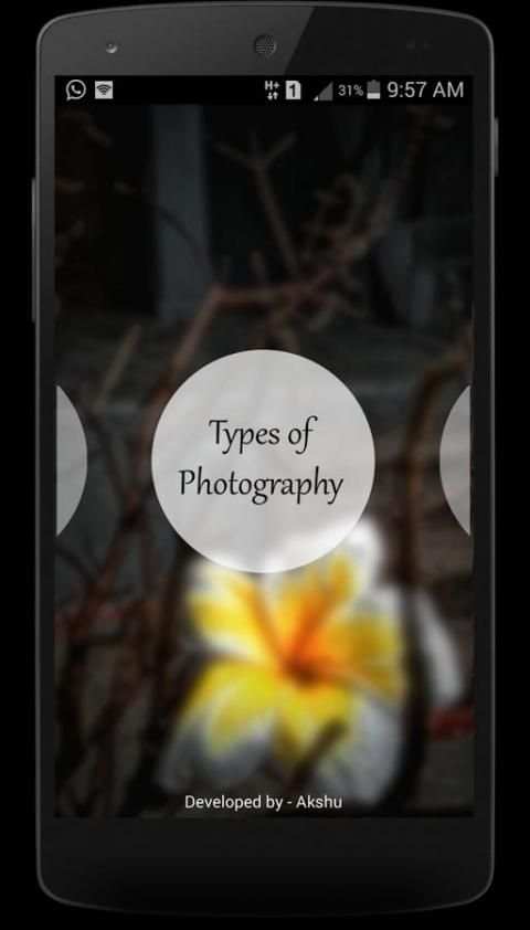 MJ's Photography screenshot 4