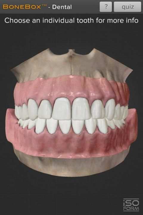 BoneBox™ - Dental Lite screenshot 3