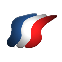 ikon French Grammar learning